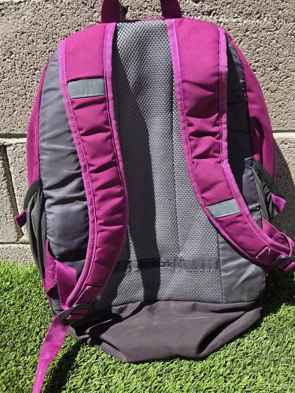 Embark Backpack Purple